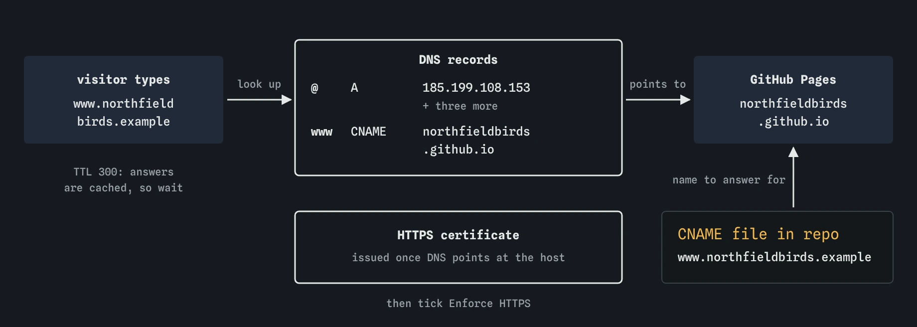Typing www.northfieldbirds.example triggers a DNS lookup: A records for @ point to 185.199.108.153 and three more, a CNAME for www points to northfieldbirds.github.io. The repo's CNAME file names the domain, and an HTTPS certificate follows.