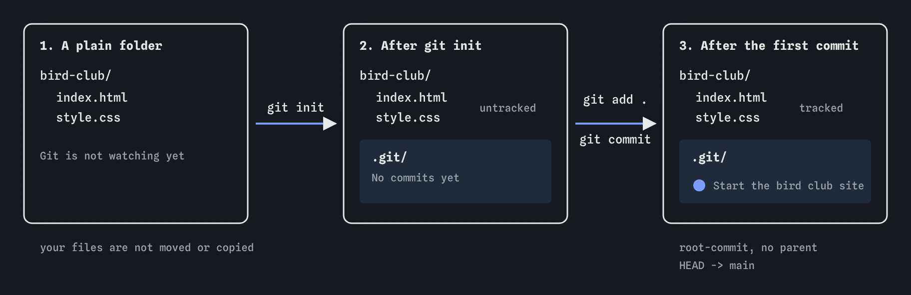 The bird club folder before and after setup: git init adds an empty .git folder with no commits, then git add . and git commit make one root commit, Start the bird club site, with main and HEAD on it.