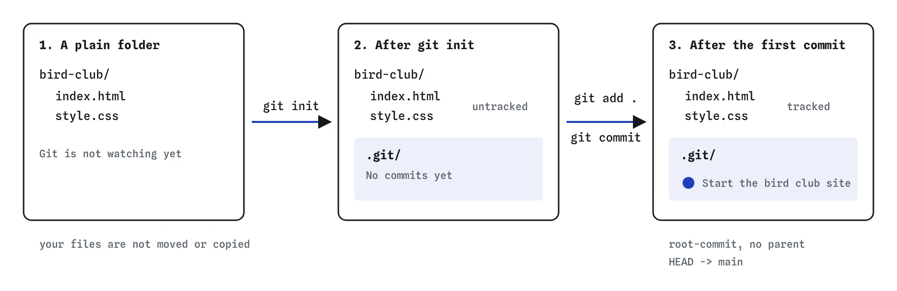The bird club folder before and after setup: git init adds an empty .git folder with no commits, then git add . and git commit make one root commit, Start the bird club site, with main and HEAD on it.