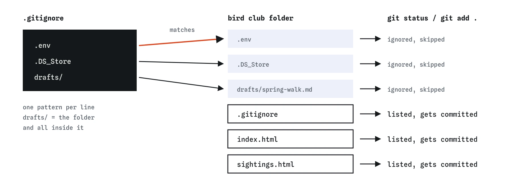 Three .gitignore lines, .env, .DS_Store and drafts/, point at the matching files in the bird club folder, which Git now skips. .gitignore, index.html and sightings.html stay listed and get committed.