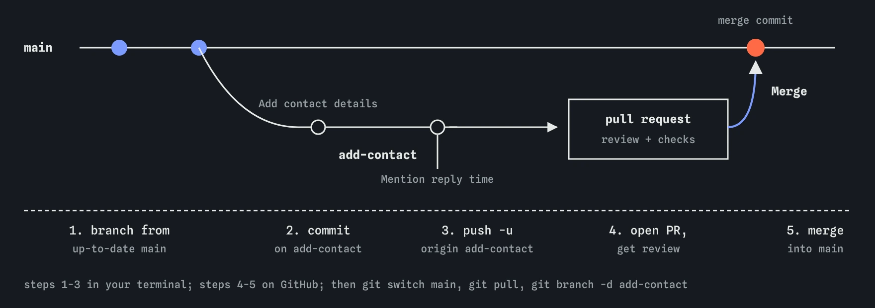 The add-contact branch leaves main, gets two commits, Add contact details and Mention reply time, is pushed and opened as a pull request for review and checks, then merges back into main as a merge commit.