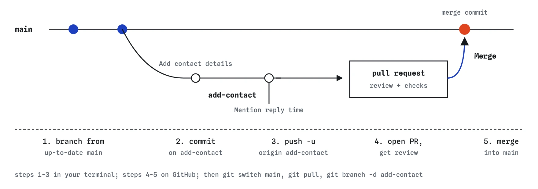 The add-contact branch leaves main, gets two commits, Add contact details and Mention reply time, is pushed and opened as a pull request for review and checks, then merges back into main as a merge commit.