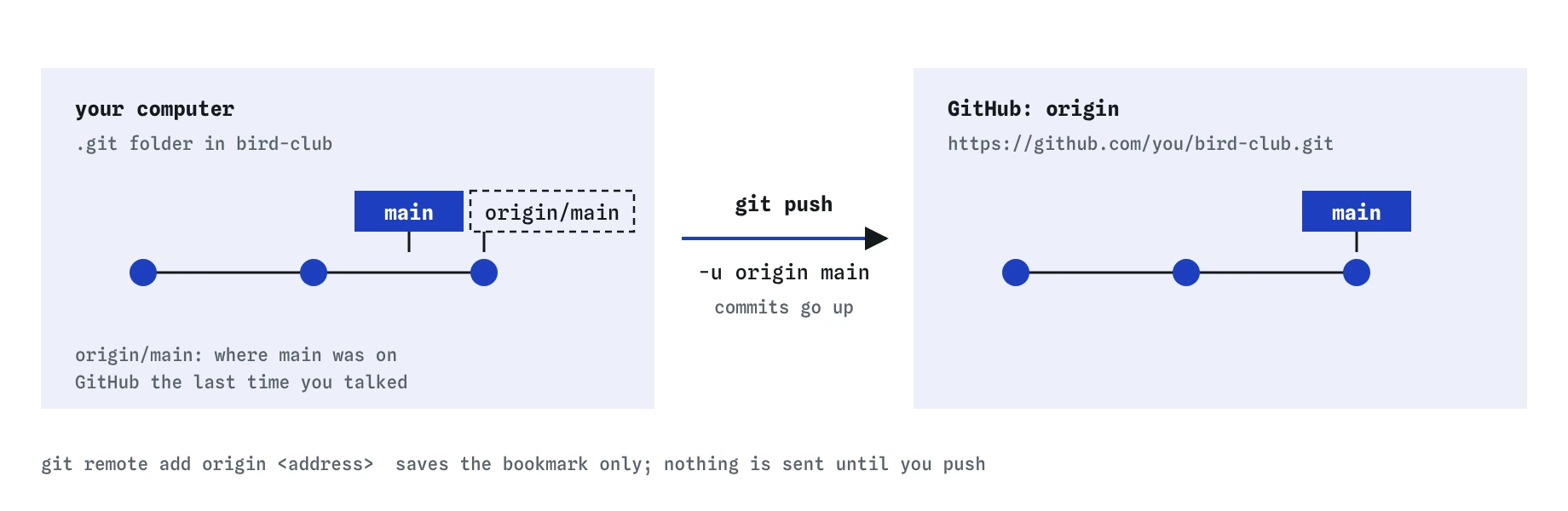 Two repositories with the same three commits: the bird-club repository on your computer, with main and a dashed origin/main label, and GitHub's origin at github.com/you/bird-club.git with main. git push -u origin main sends commits across.