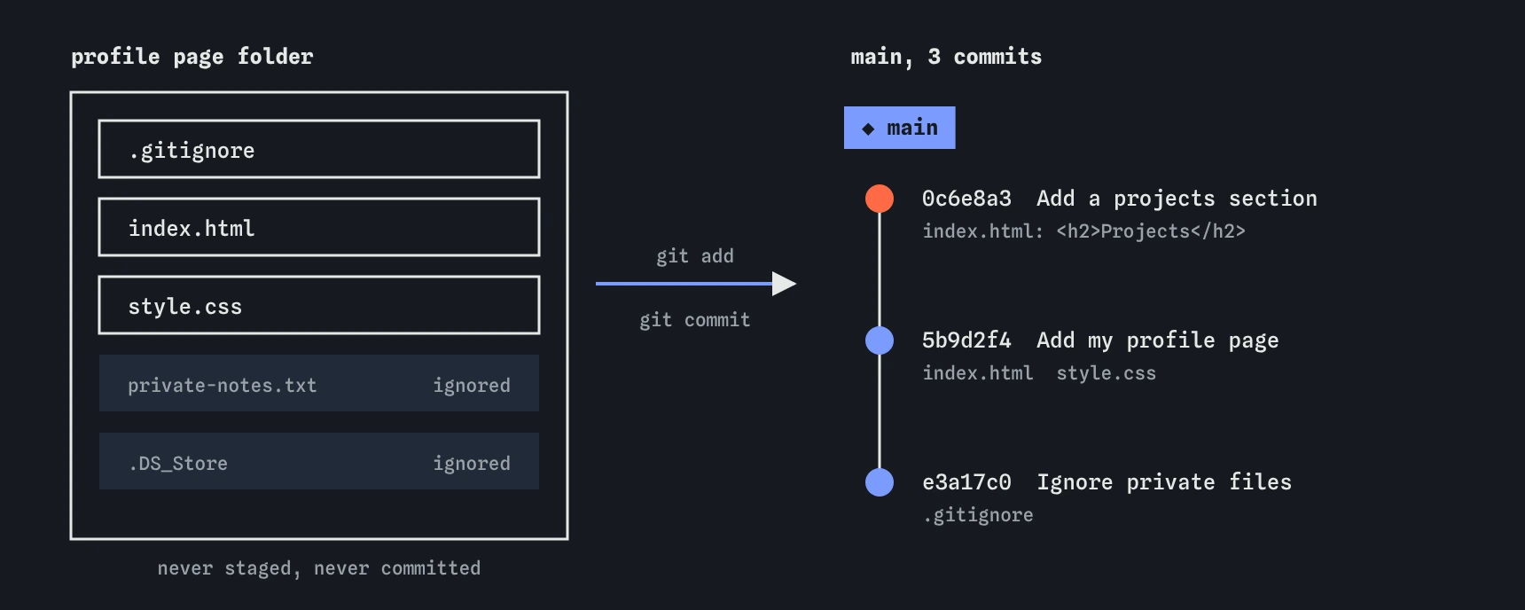 The profile page folder holds five files. private-notes.txt and .DS_Store are ignored and never committed. The rest go into three commits on main: Ignore private files, Add my profile page, Add a projects section.