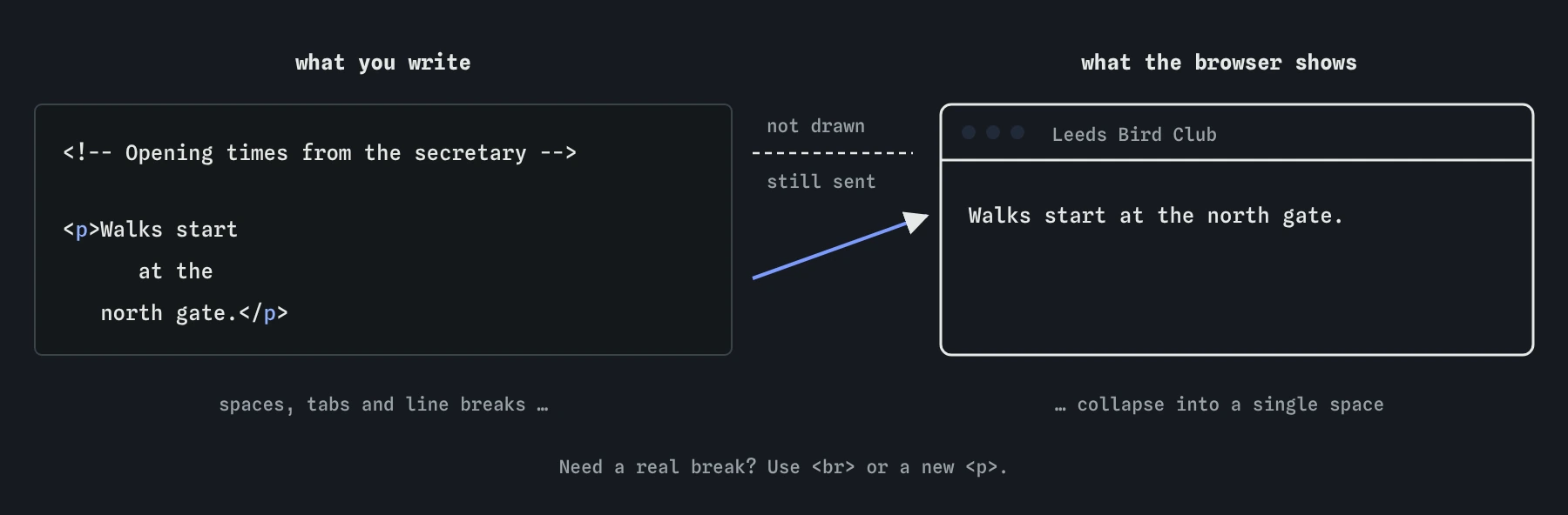 Bird club source with a comment and a paragraph split over three indented lines. The browser draws nothing for the comment and joins the paragraph into one line: Walks start at the north gate.