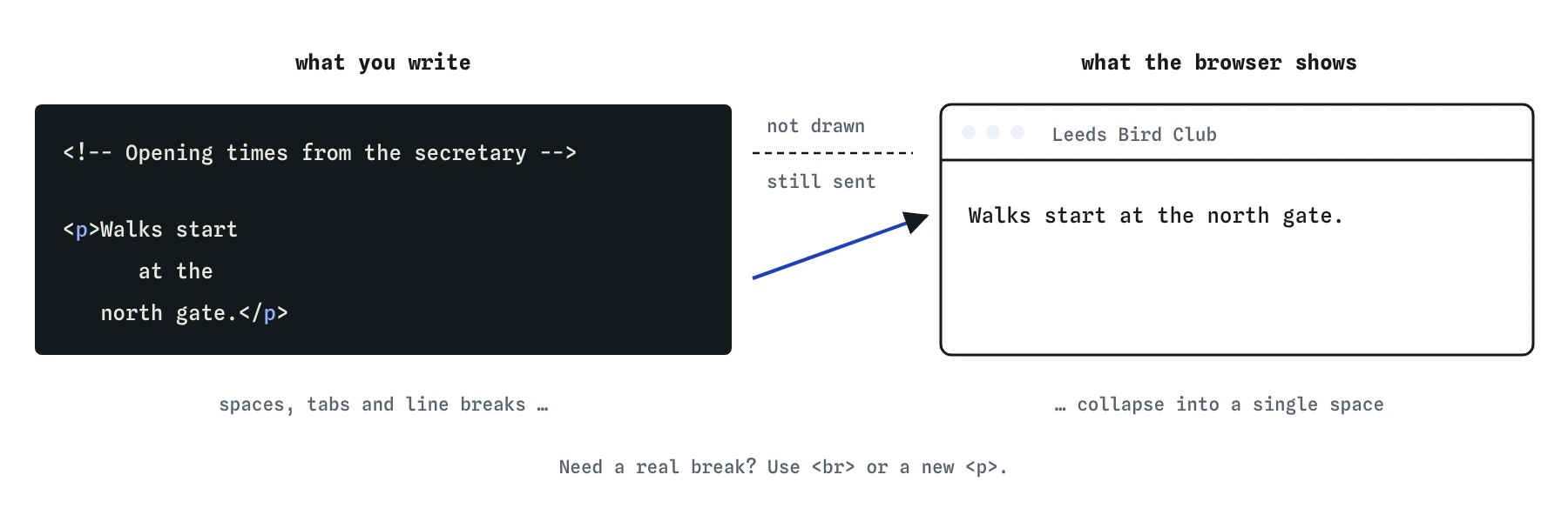 Bird club source with a comment and a paragraph split over three indented lines. The browser draws nothing for the comment and joins the paragraph into one line: Walks start at the north gate.