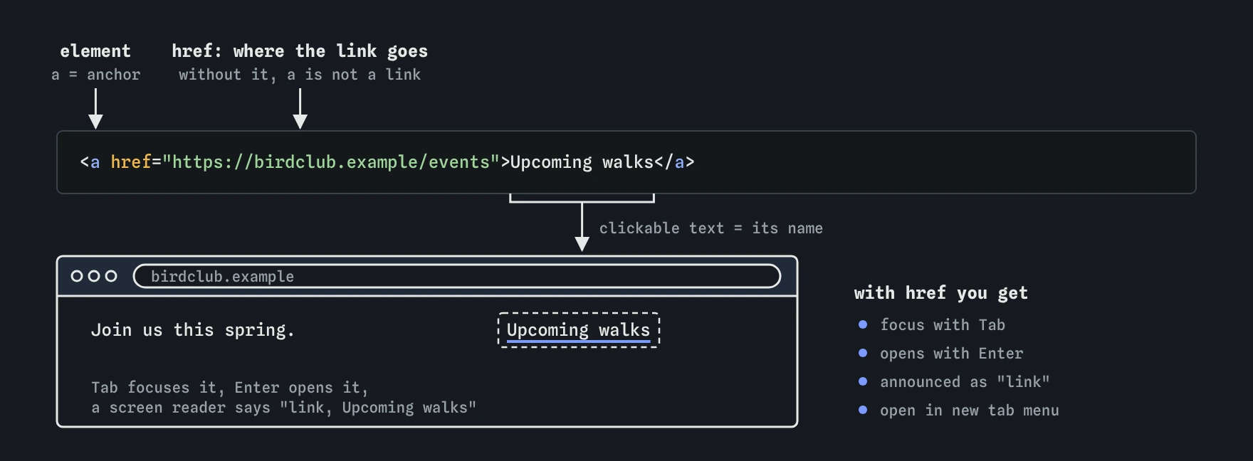 The link Upcoming walks to birdclub.example/events, split into its parts: the a element, the href holding the destination, and the text between the tags, which becomes the underlined, focusable link in the browser.