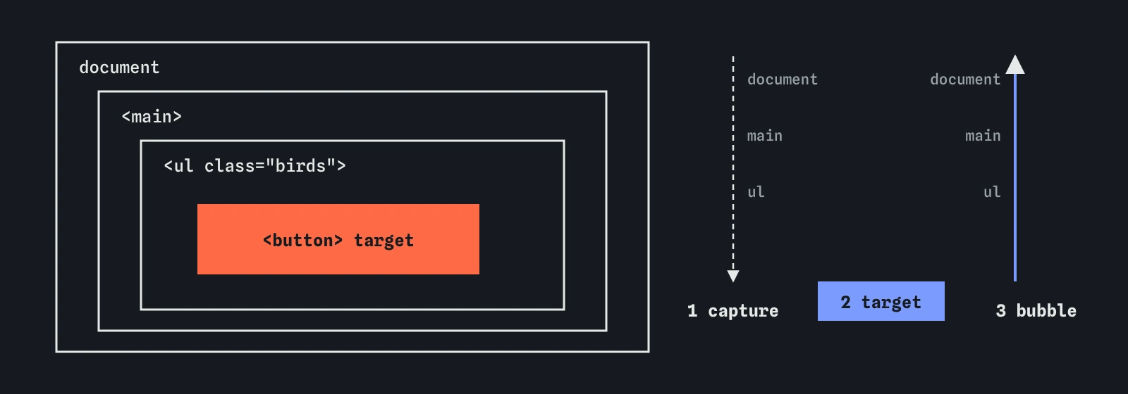 A click on a button travels down from document through main and the list to the button in the capture phase, reaches the target, then bubbles back up through the list and main to document.