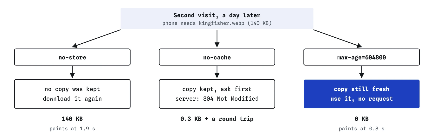 Three branches for the kingfisher photo on a second visit: no-store downloads all 140 KB again, no-cache sends a 0.3 KB check and waits a round trip, max-age=604800 uses the kept copy for 0 KB.