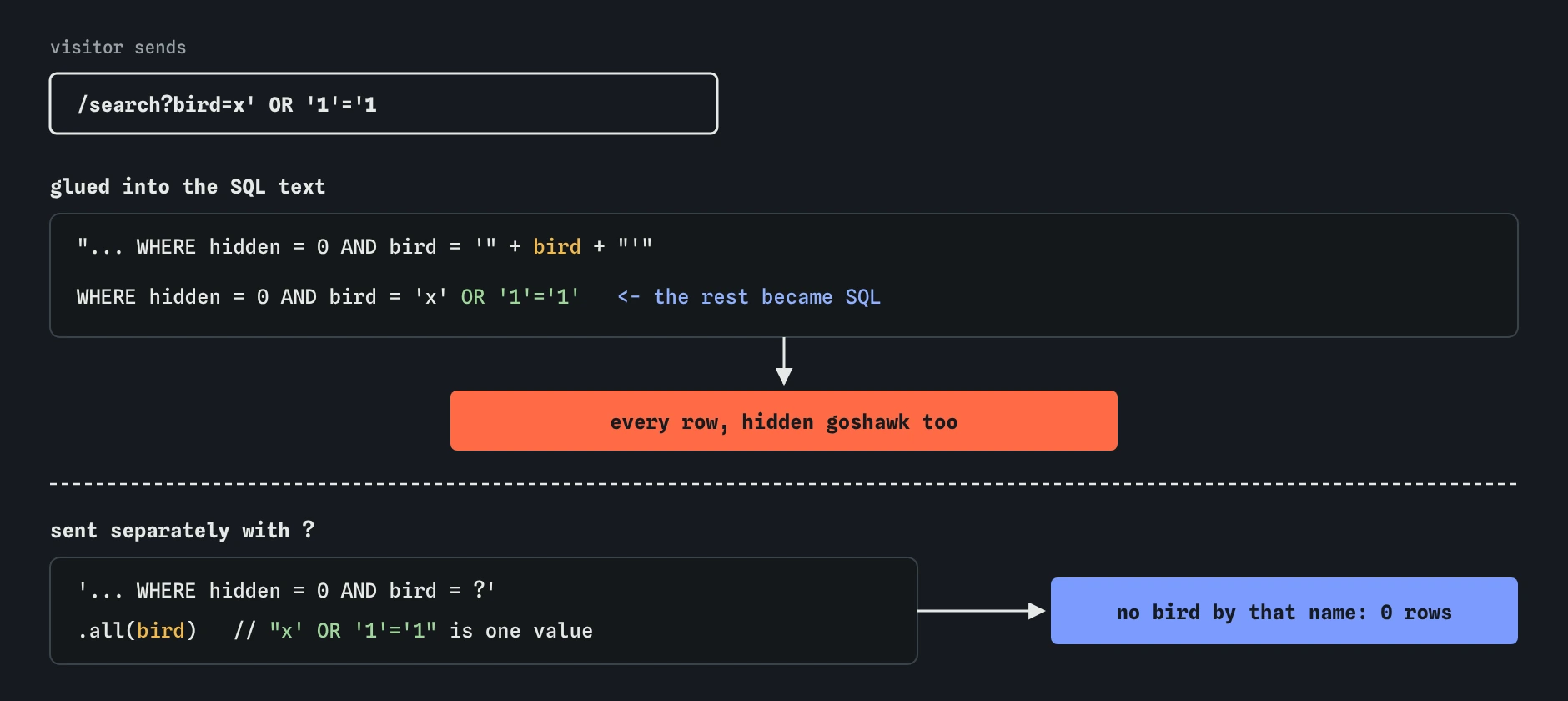 The input x' OR '1'='1 glued into the SQL becomes WHERE hidden = 0 AND bird = 'x' OR '1'='1', returning every row including the hidden goshawk. With a ? placeholder the same text is only a value and matches no bird.