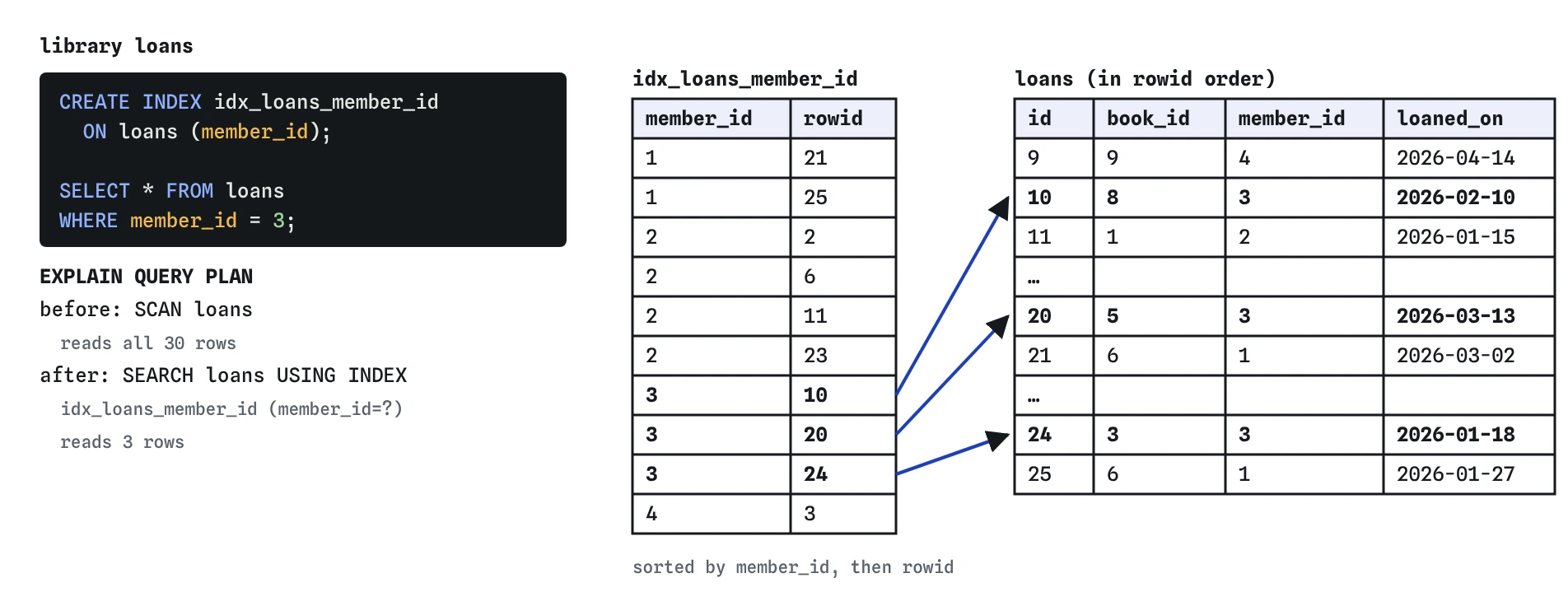 An index on loans member_id is a sorted list of member ids, each with a rowid. For WHERE member_id = 3 SQLite finds the three entries for member 3 and jumps straight to loans 10, 20 and 24